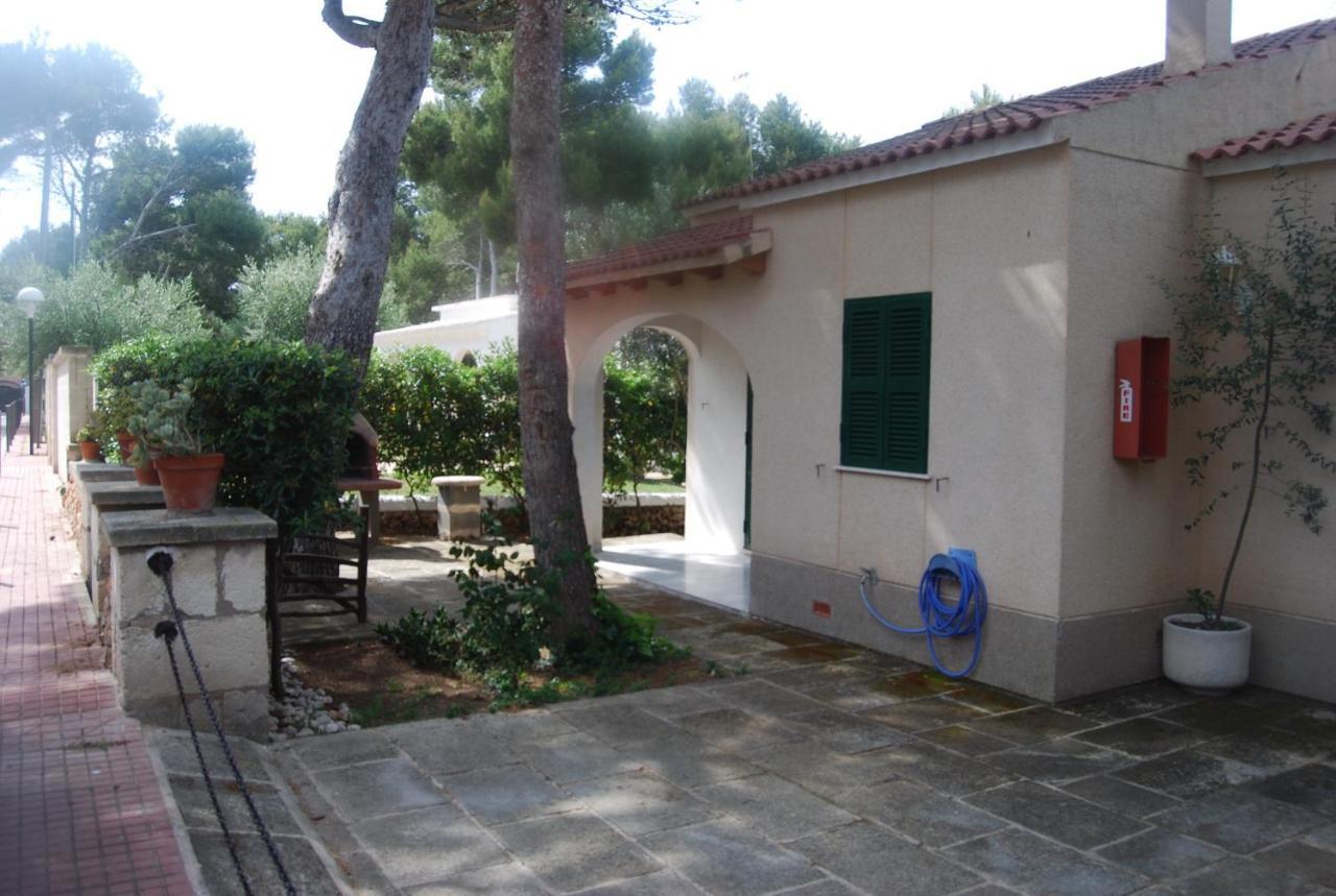 Es Pins Apartment Cala Blanca  Room photo